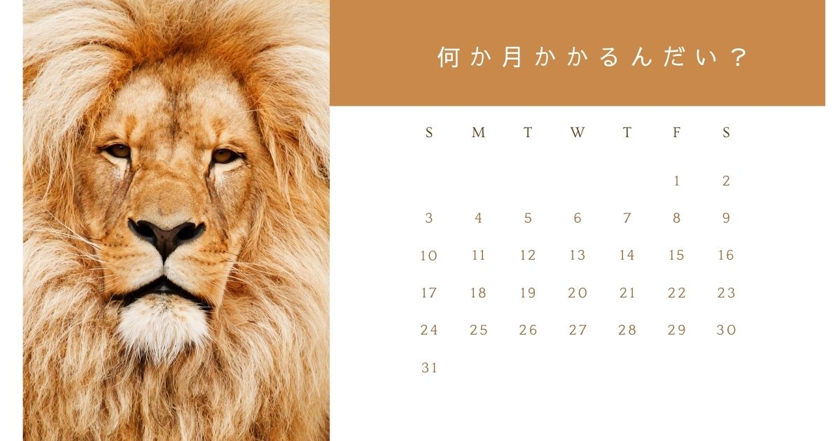 フルスケルトンリノベ
